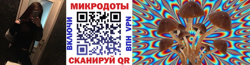 сколько стоит  Новоаннинский  Галлюциногенные грибы Psilocybine cubensis 