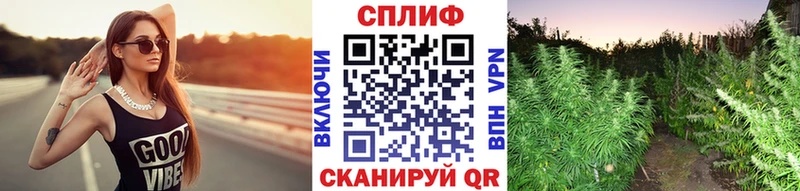 мориарти состав  Новоаннинский  Бошки Шишки Bruce Banner  наркота 